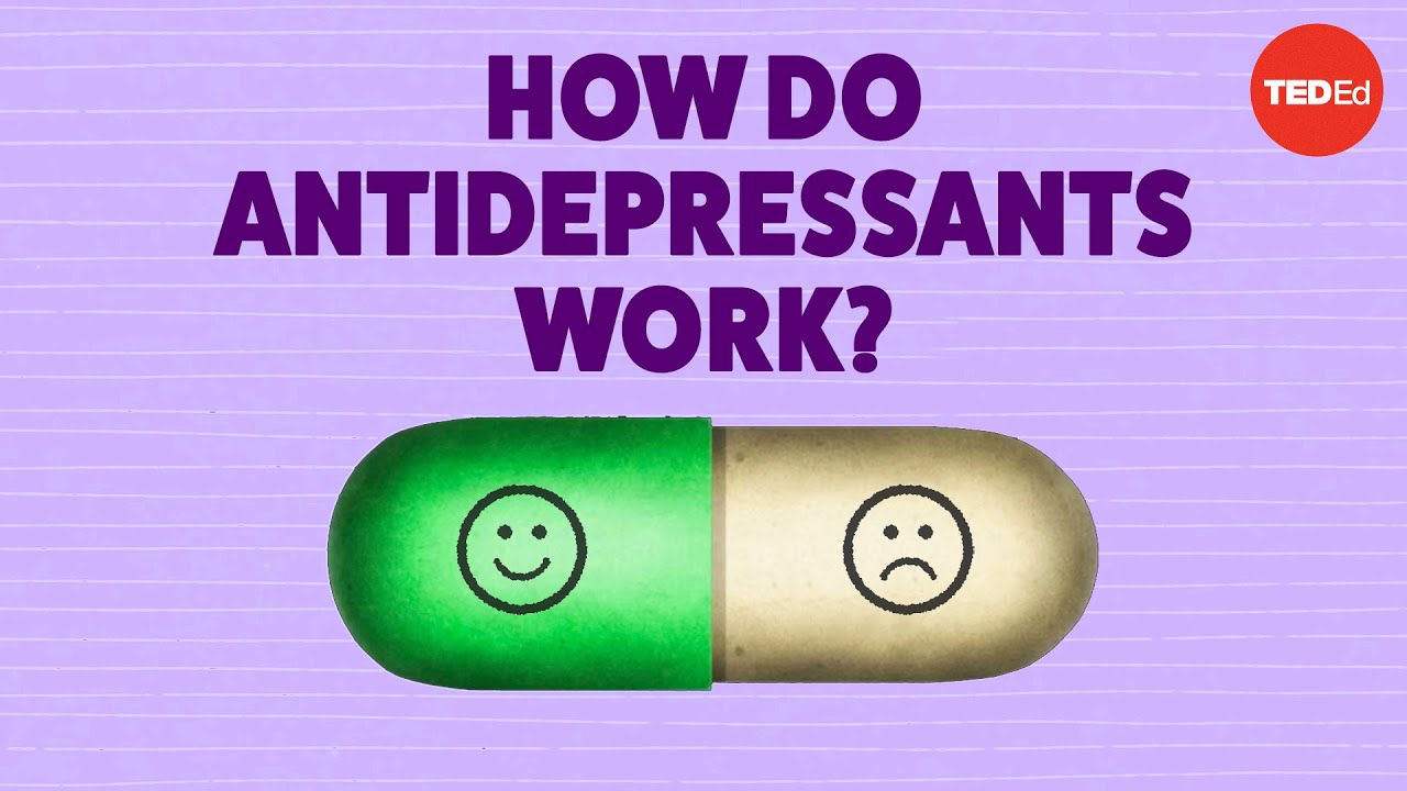 how-do-antidepressants-work-neil-r-jeyasingam-vid-o-playzz